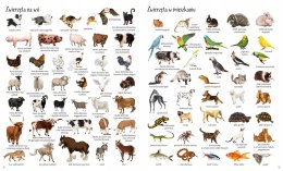 Encyklopedia obrazkowa Zwierzęta 1000 Haseł